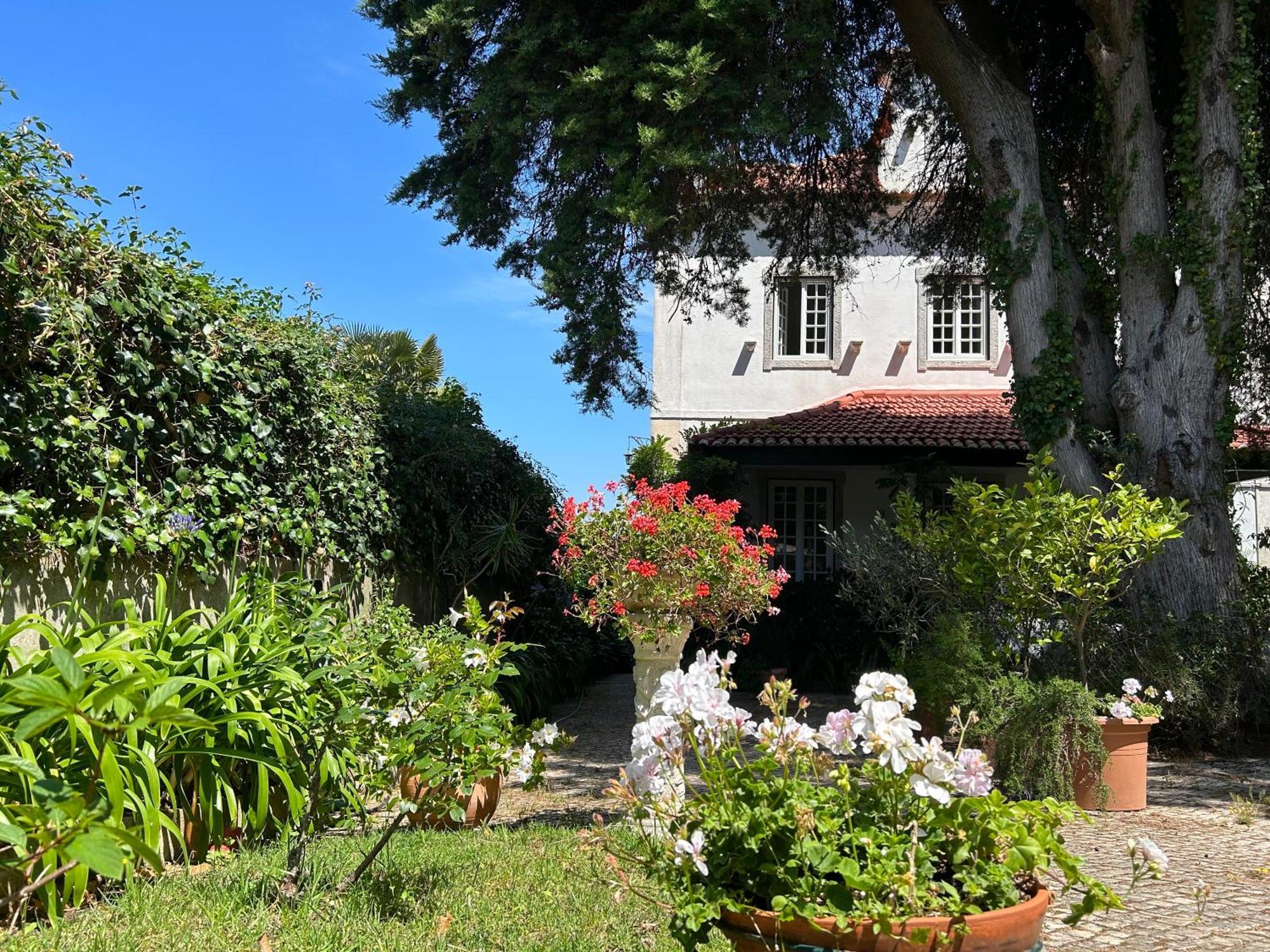 Villa Branca Jacinta シントラ エクステリア 写真