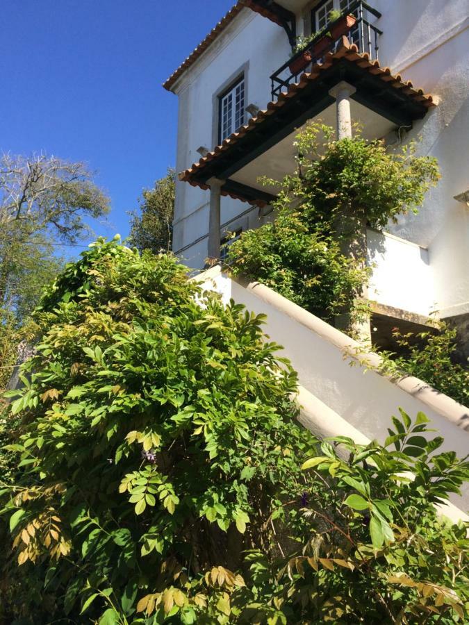 Villa Branca Jacinta シントラ エクステリア 写真